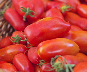 Pomodoro San Marzano